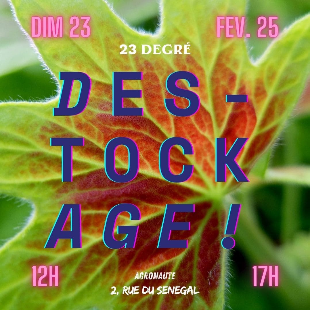 GRAND DESTOCKAGE