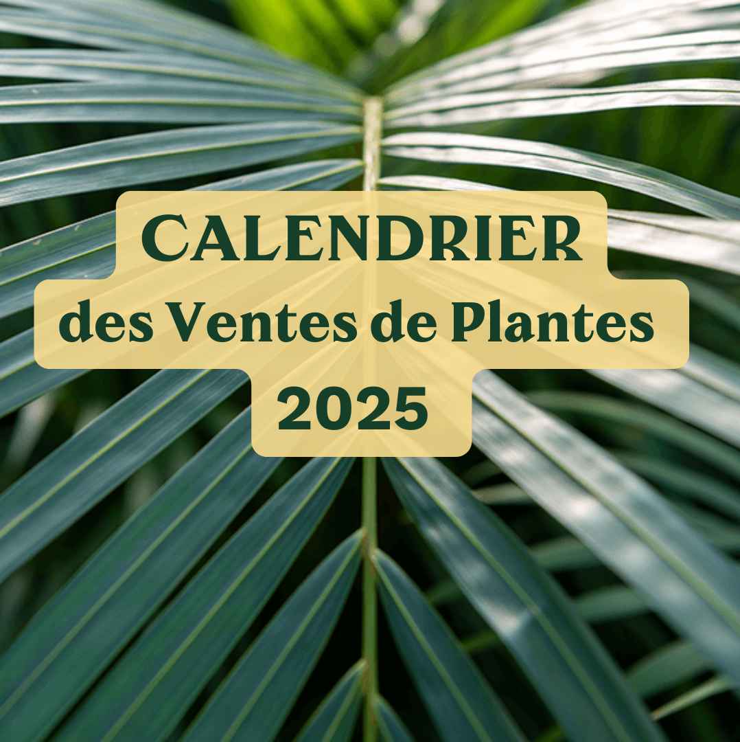 Calendrier des Ventes de plantes 2025