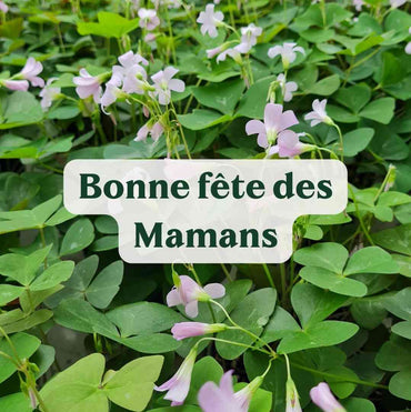 Pour toutes les MAMANS qui déchirent !