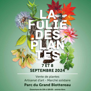 FOLIE DES PLANTES 2024