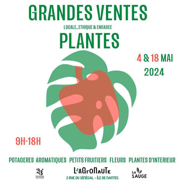 LES GRANDES VENTES DE PLANTES 2024