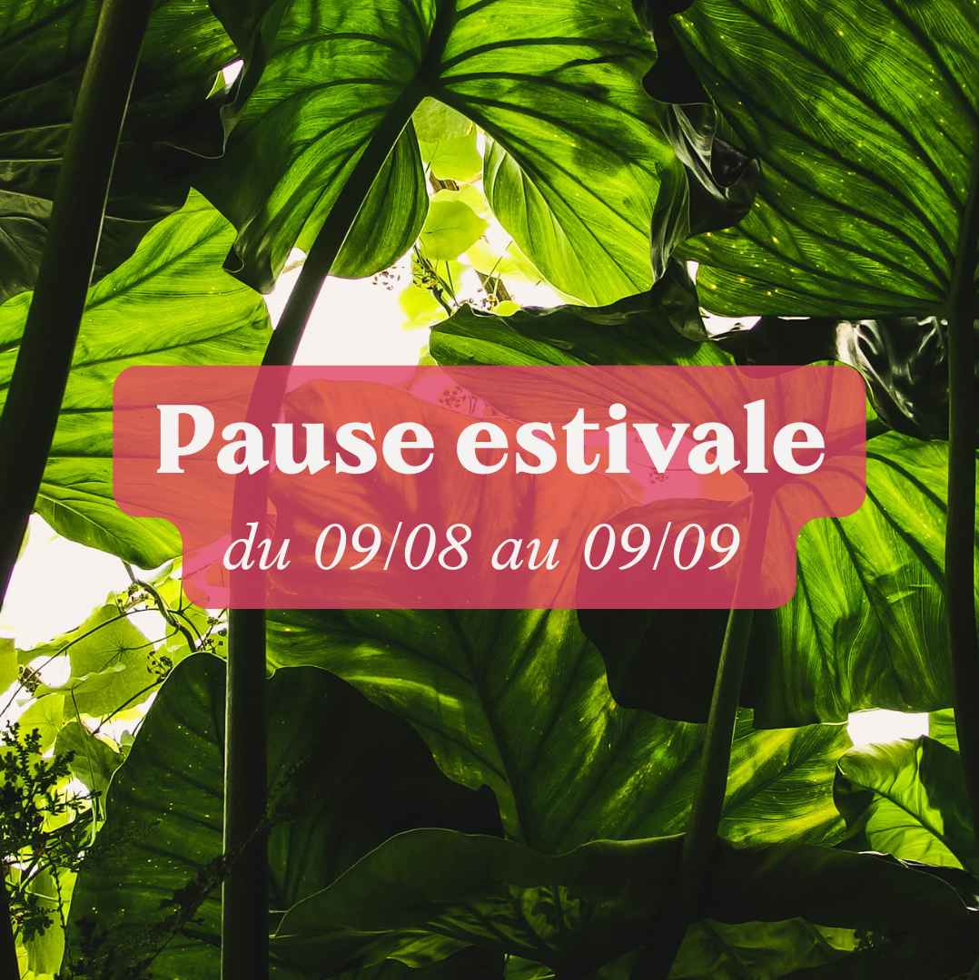 Pause estivale