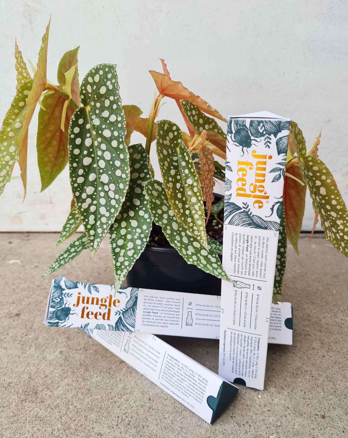 Engrais pour plante d'intérieur - Jungle Stick